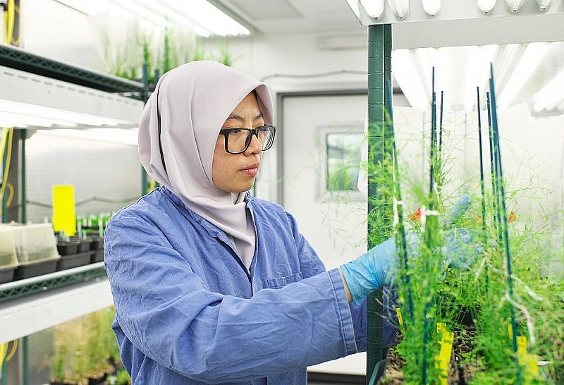 Các nhà khoa học hàng đầu thế giới hiến kế nuôi sống 10 tỷ người tại Tuần lễ Khoa học Công nghệ VinFuture 2025 Các nhà khoa học hàng đầu thế giới hiến kế nuôi sống 10 tỷ người tại Tuần lễ Khoa học Công nghệ VinFuture 2025