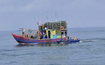Nghệ An tăng cường kiểm soát, xử lý nghiêm vi phạm IUU