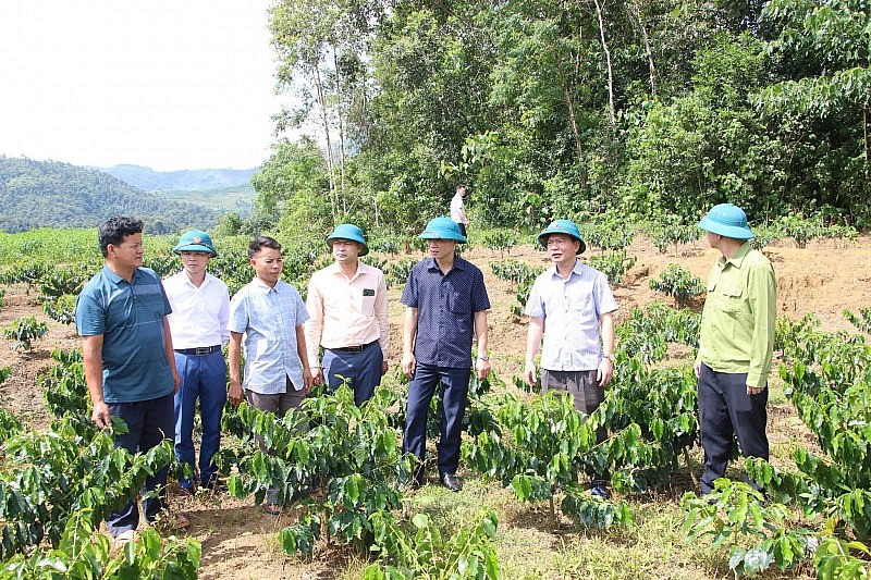 Búng Lao khởi sắc từ việc triển khai đồng bộ các chính sách dân tộc Búng Lao khởi sắc từ việc triển khai đồng bộ các chính sách dân tộc