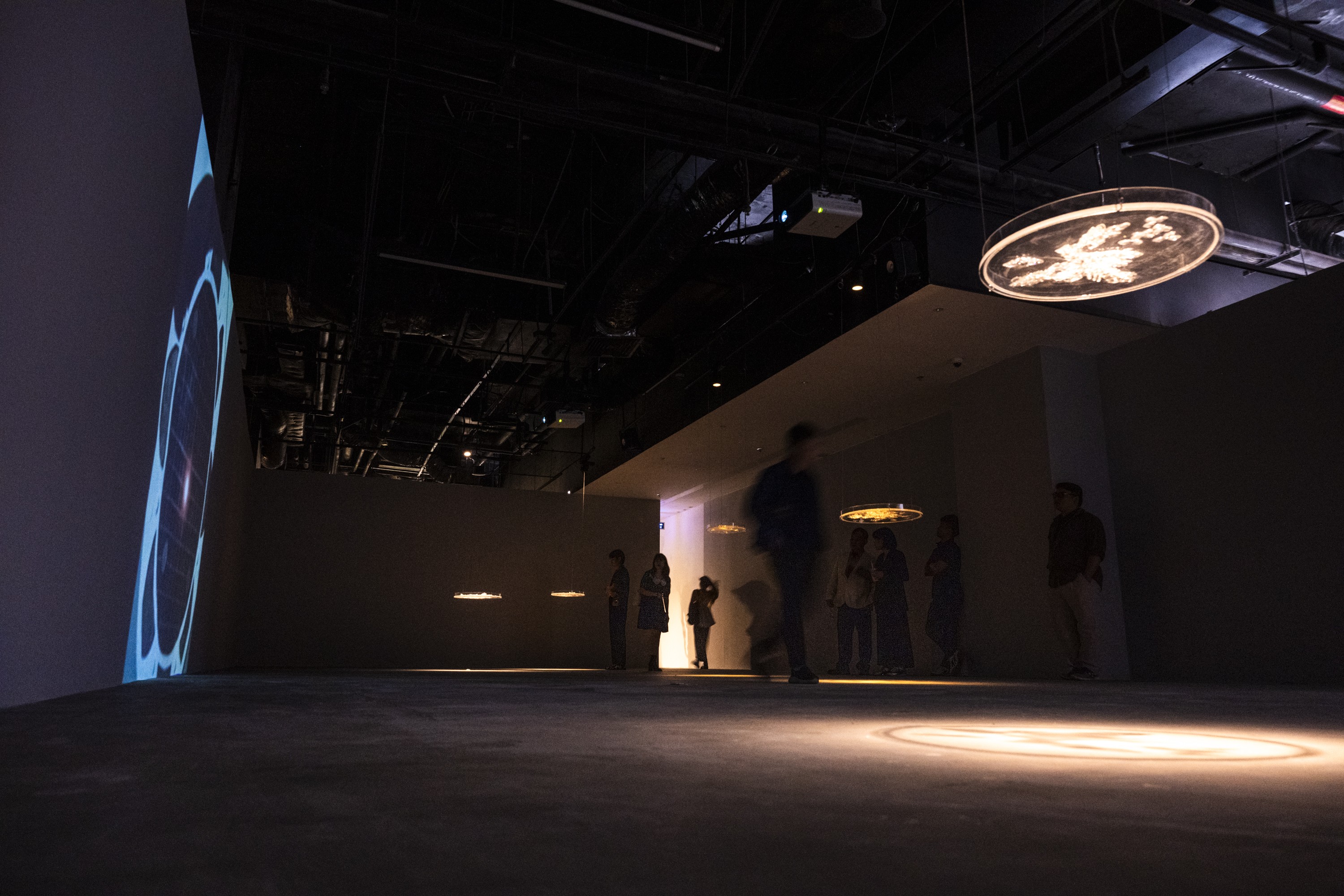 Triển lãm “Tỏa V – Điểm Chạm Khoa Học”: Cuộc đối thoại giữa nghệ thuật và trí tuệ nhân loại Triển lãm “Tỏa V – Điểm Chạm Khoa Học”: Cuộc đối thoại giữa nghệ thuật và trí tuệ nhân loại