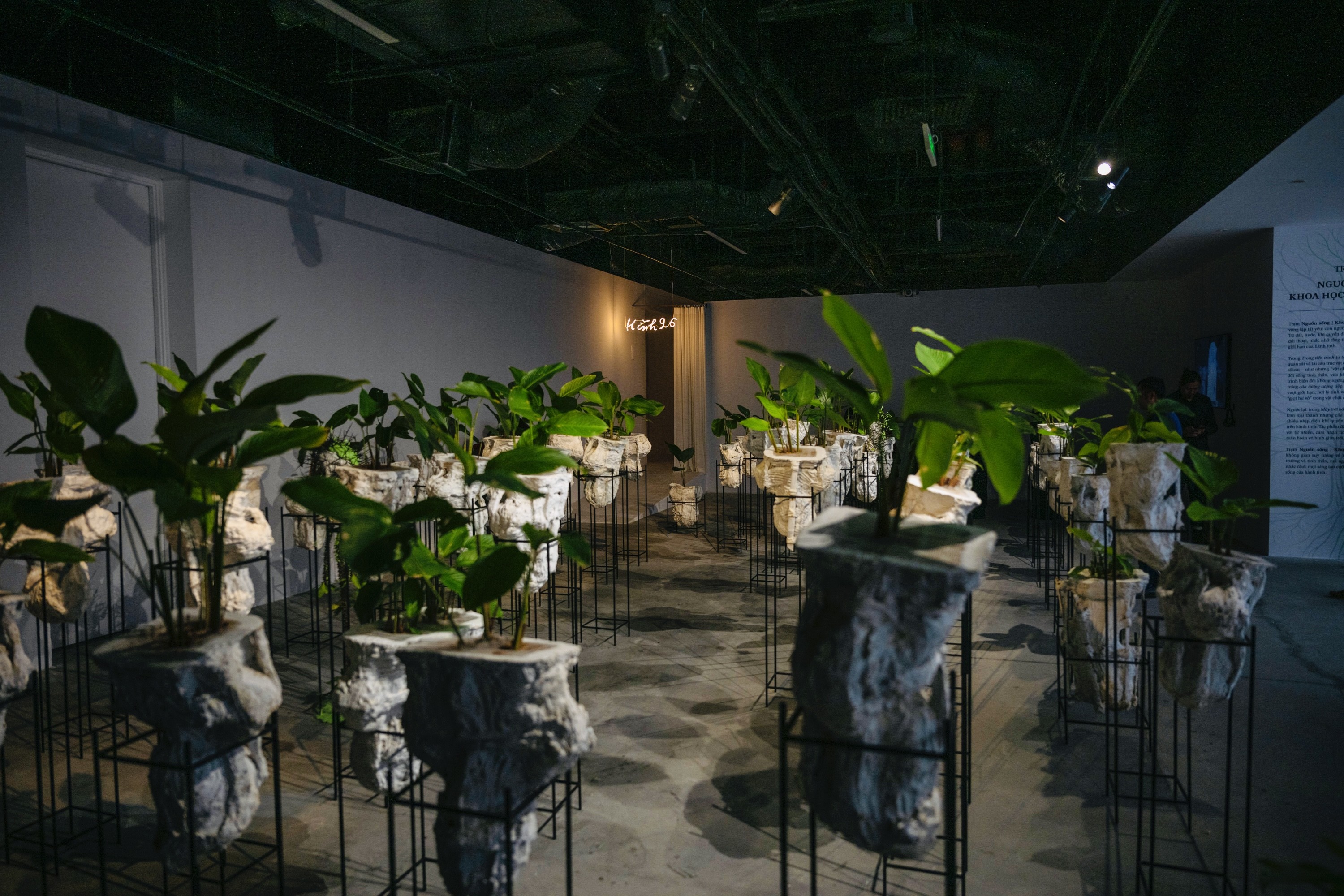 Triển lãm “Tỏa V – Điểm Chạm Khoa Học”: Cuộc đối thoại giữa nghệ thuật và trí tuệ nhân loại Triển lãm “Tỏa V – Điểm Chạm Khoa Học”: Cuộc đối thoại giữa nghệ thuật và trí tuệ nhân loại