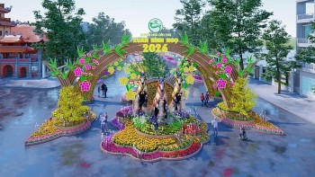 duong hoa nghe thuat can tho nam 2026 co gi hap dan