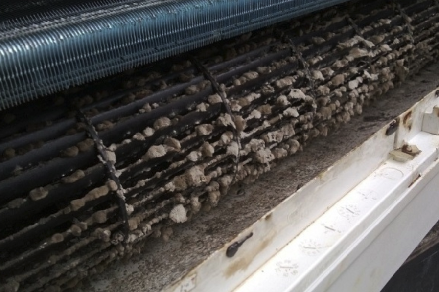 Đón Tết an toàn hơn nhờ vệ sinh máy lạnh đúng cách