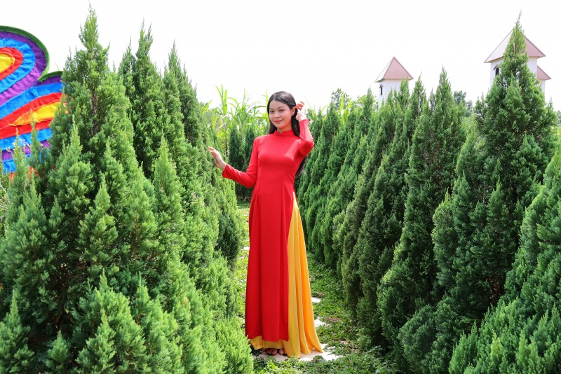 Festival Hoa - Kiểng Sa Đéc 2025: “Sắc hoa ngày mới” rực rỡ cuối năm Festival Hoa - Kiểng Sa Đéc 2025: “Sắc hoa ngày mới” rực rỡ cuối năm