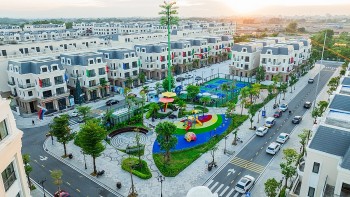 nha dau tu ke cao goi ngu thuong nhan hot bac nho bai toan dong tien kho cuong tai asia vibe