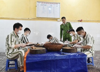 Bảo đảm quyền con người trong thi hành tạm giữ, tạm giam ở Việt Nam