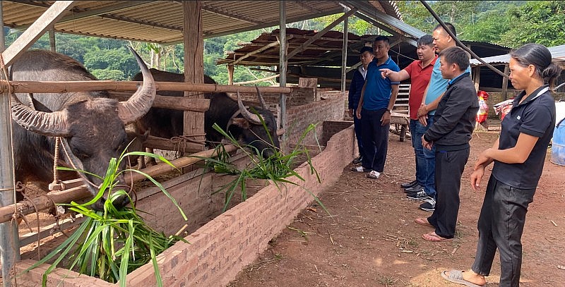 Những mô hình sinh kế sáng tạo thay đổi vùng cao Mường Toong Những mô hình sinh kế sáng tạo thay đổi vùng cao Mường Toong