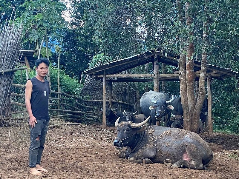 Thanh niên Mường Toong vươn lên thoát nghèo nhờ truyền thông cơ sở Thanh niên Mường Toong vươn lên thoát nghèo nhờ truyền thông cơ sở