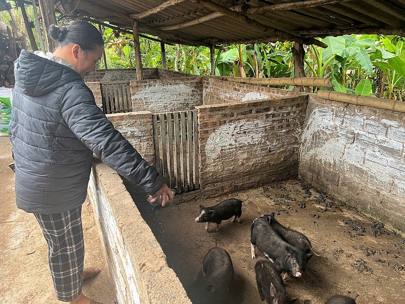 Nhiều hộ dân Mường Toong thoát nghèo bền vững