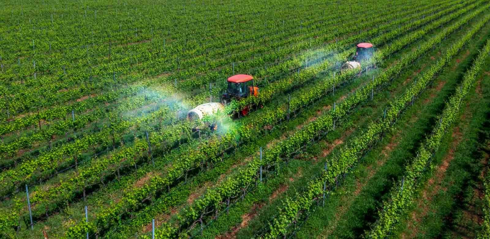 Bài 5: Tăng cường thế nước – củng cố lòng dân: Giải pháp ở tầm chiến lược