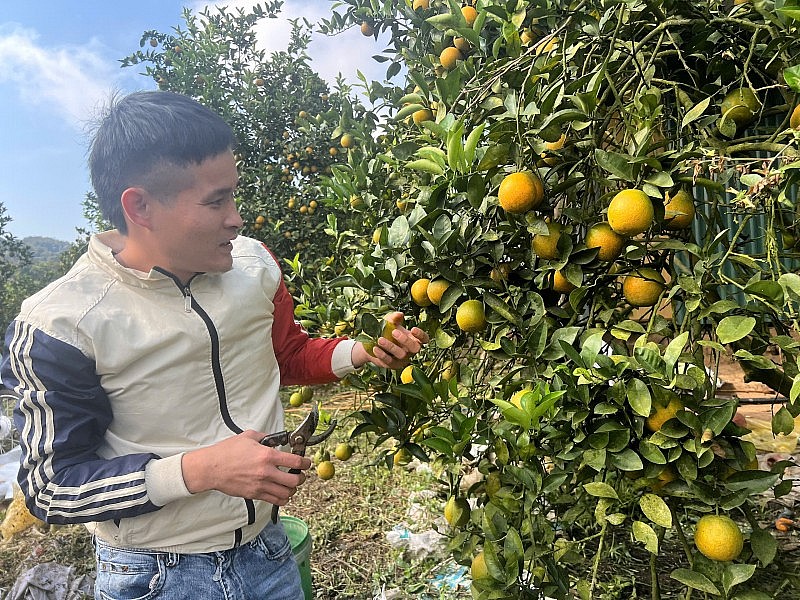 Giảm nghèo về thông tin – nền tảng thoát nghèo bền vững vùng dân tộc thiểu số