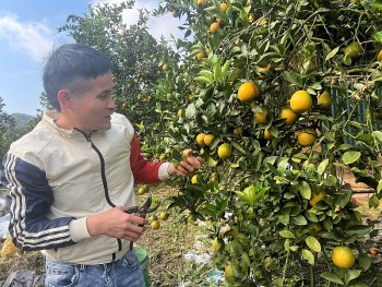 giam ngheo ve thong tin nen tang thoat ngheo ben vung vung dan toc thieu so