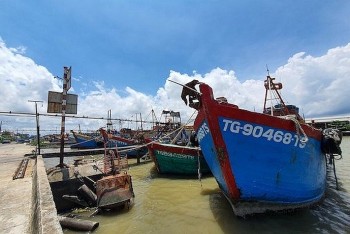 Doanh nghiệp vi phạm IUU sẽ bị loại khỏi VASEP