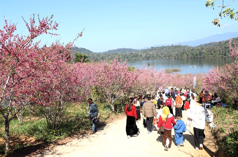 (Ảnh: Lan Phương/dienbien.gov.vn)