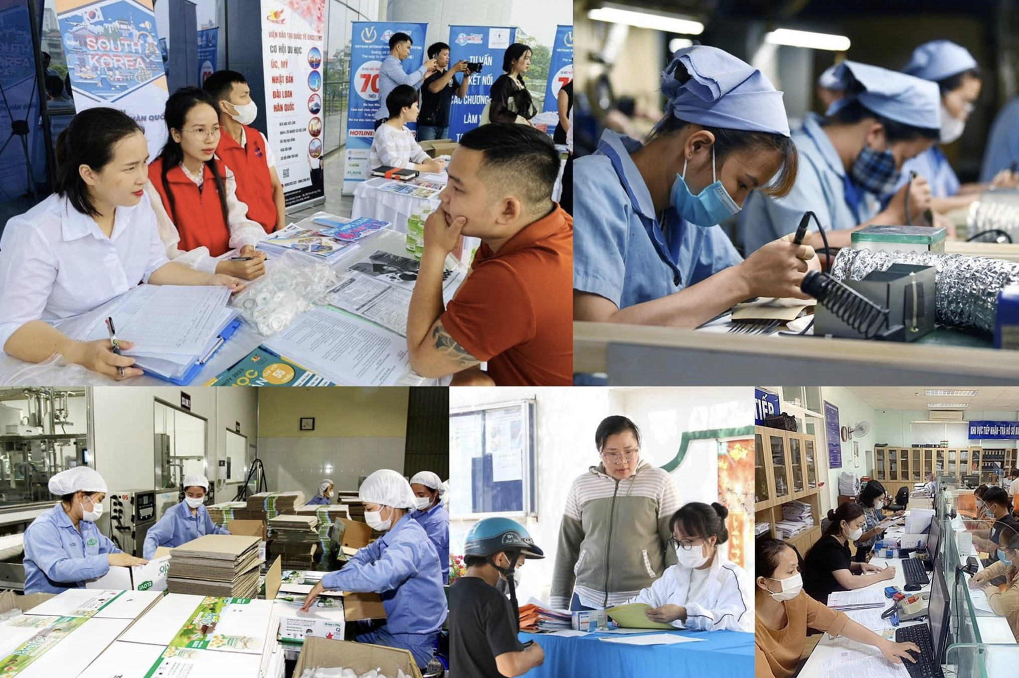 Ảnh minh hoạ Ảnh minh hoạ