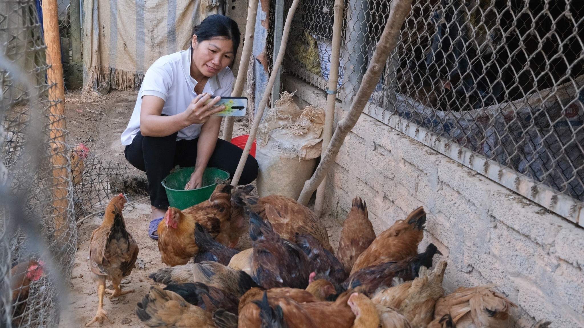 Học cách phát triển sinh kế bền vững ở vùng cao