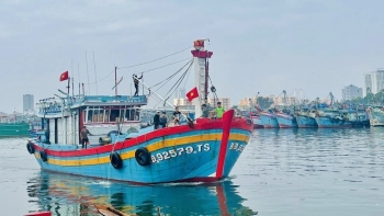 Nghị định mới hướng dẫn thi hành Luật Thủy sản: Siết quản lý tàu cá và chống khai thác IUU