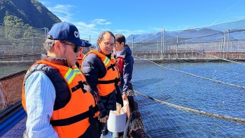 xuc tien tiem nang hop tac thuy san tai vung aysen chile