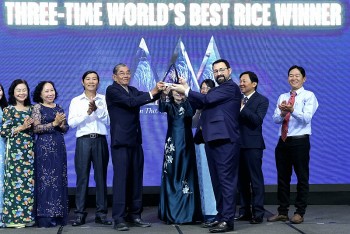 gao ong cua st25 cua viet nam nhan cup gao ngon nhat the gioi nam 2025