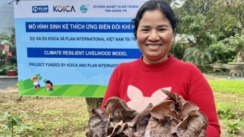 mo hinh trong nam giup phu nu van kieu tang thu nhap