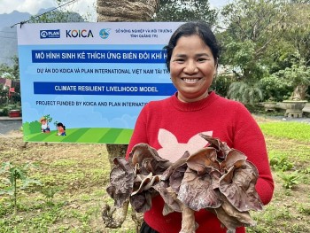 Mô hình trồng nấm giúp phụ nữ Vân Kiều tăng thu nhập