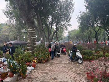 thoi tiet dip tet nguyen dan binh ngo 2026