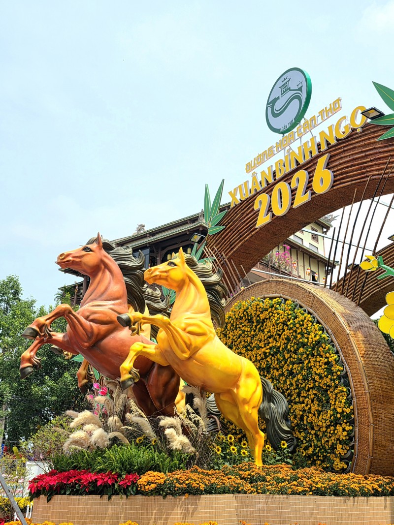 Cần Thơ khai mạc đường hoa nghệ thuật chủ đề “Tết sum vầy”