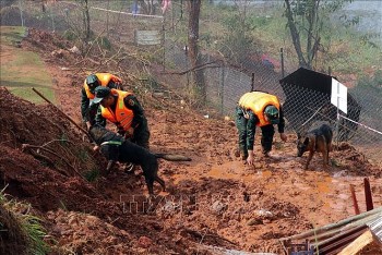 chu dong ung pho thien tai co the xay ra dip tet