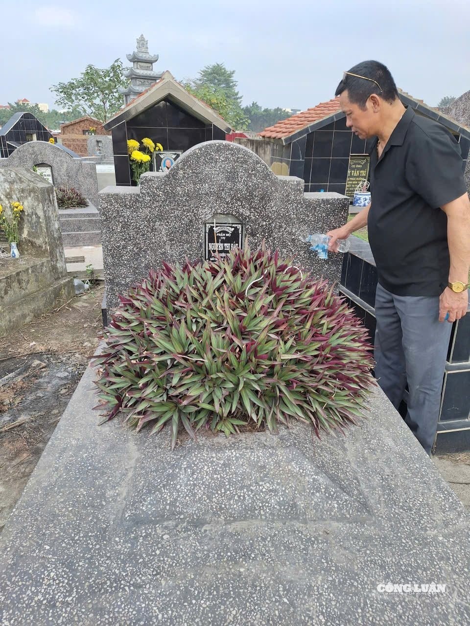 Mời ông bà về ăn Tết