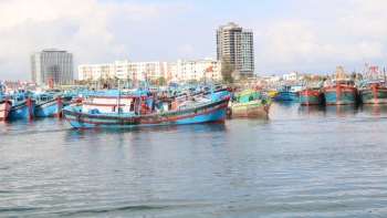 ngu dan hung khoi ra khoi dau xuan