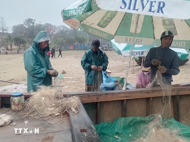 Người dân phường Sầm Sơn, Thanh Hóa lấy cá từ lưới vừa đánh bắt trên biển. (Ảnh: Nguyễn Nam/TTXVN)