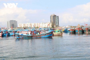 Ngư dân hứng khởi ra khơi đầu Xuân