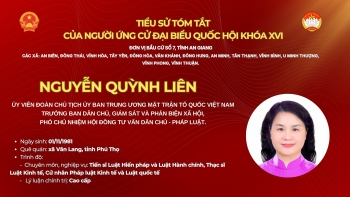 [Infographic] Bà Nguyễn Quỳnh Liên ứng cử đại biểu Quốc hội tại tỉnh An Giang