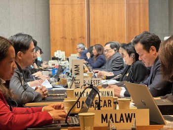 viet nam de cao hop tac da phuong tai phien hop dai hoi dong wto