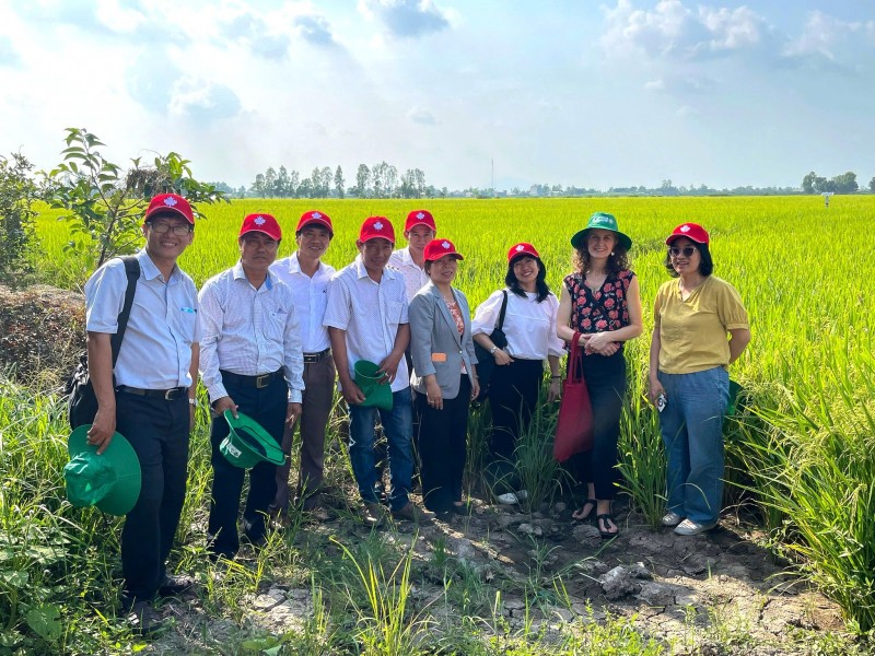 Dự án GoRice do Chính phủ Canada viện trợ: nâng cao phúc lợi cho nông dân sản xuất lúa gạo tại 7 xã ở Cần Thơ Dự án GoRice do Chính phủ Canada viện trợ: nâng cao phúc lợi cho nông dân sản xuất lúa gạo tại 7 xã ở Cần Thơ