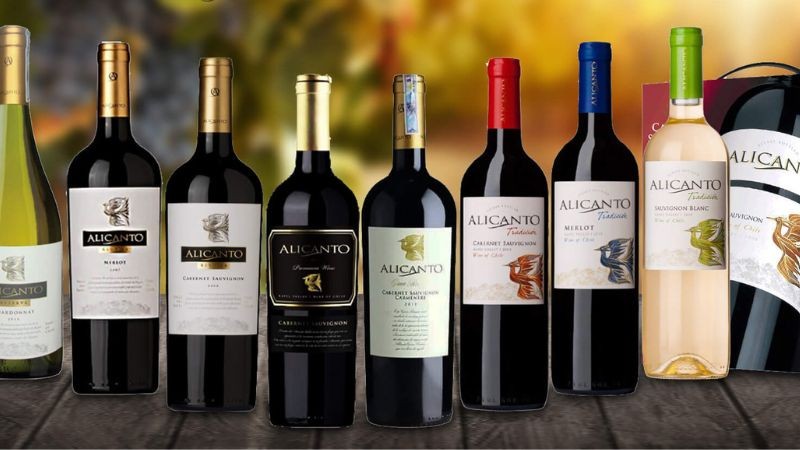 Rượu vang Chile tại Việt Nam có nhiều phân loại và mức giá khác nhau. (Ảnh: 