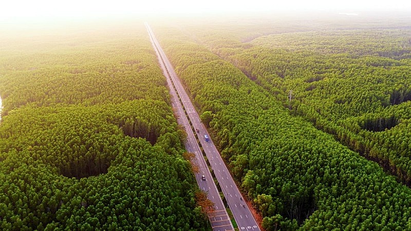 Boulevard Prime tăng nhiệt nhờ hiệu ứng VnExpress Marathon và chính sách “5 năm không lo lãi suất”