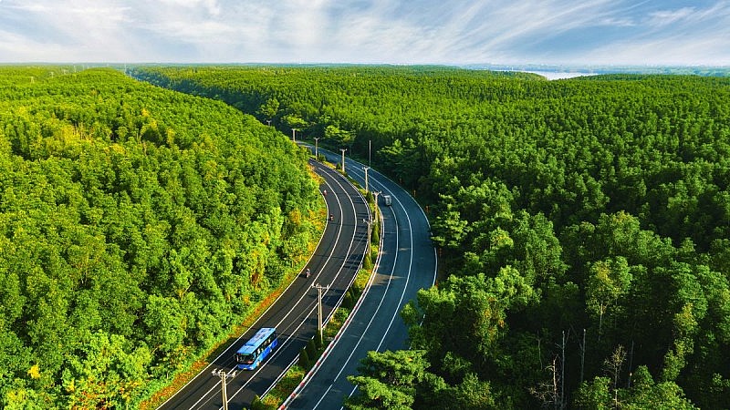 Cung đường chạy “chạm biển - xuyên rừng” đẹp nhất Việt Nam và đặc quyền sống welless tại Vinhomes Green Paradise