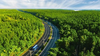 cung duong chay cham bien xuyen rung dep nhat viet nam va dac quyen song welless tai vinhomes green paradise