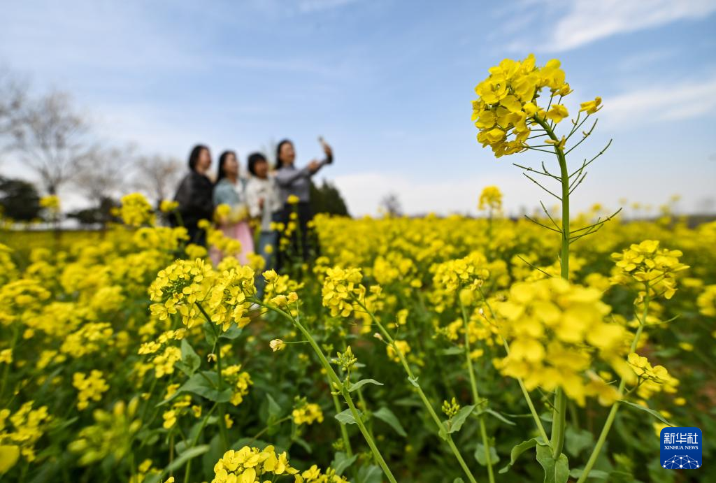nguon goc va phong tuc tet thanh minh