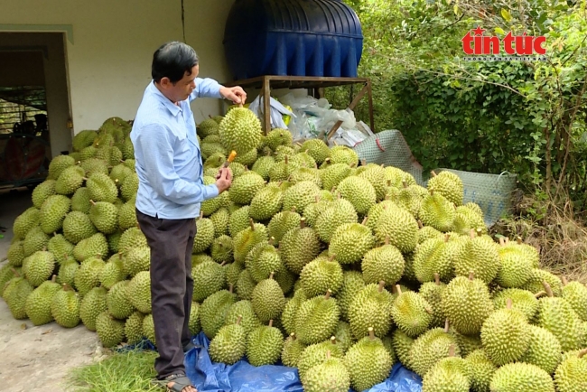 Nông nghiệp Việt Nam tăng trưởng ổn định, tiếp tục chuyển dịch theo chuỗi giá trị
