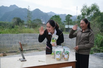 Giữ đất bằng măng: Sinh kế mới của phụ nữ Bru Vân Kiều ở Quảng Trị