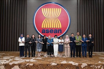 viet nam dong chu tri cuoc hop uy ban hop tac chung asean new zealand lan thu xiv