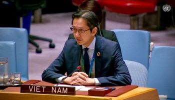 viet nam thuc day doi thoai tim giai phap thuc chat tai hoi nghi kiem diem npt lan thu 11