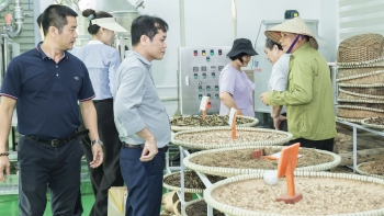 genecell trien khai de tai chiet xuat hoat chat duoc lieu phuc vu san xuat my pham