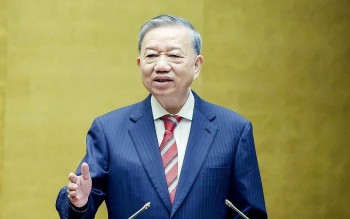 vi mot nen van minh sinh thai mot viet nam xanh va mot dai duong hoa binh ben vung