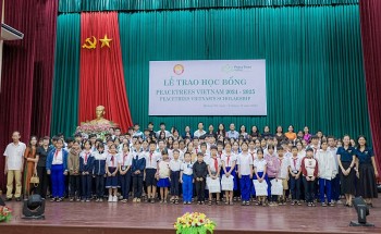 peace trees viet nam ho tro quang tri nang cao chat luong giao duc