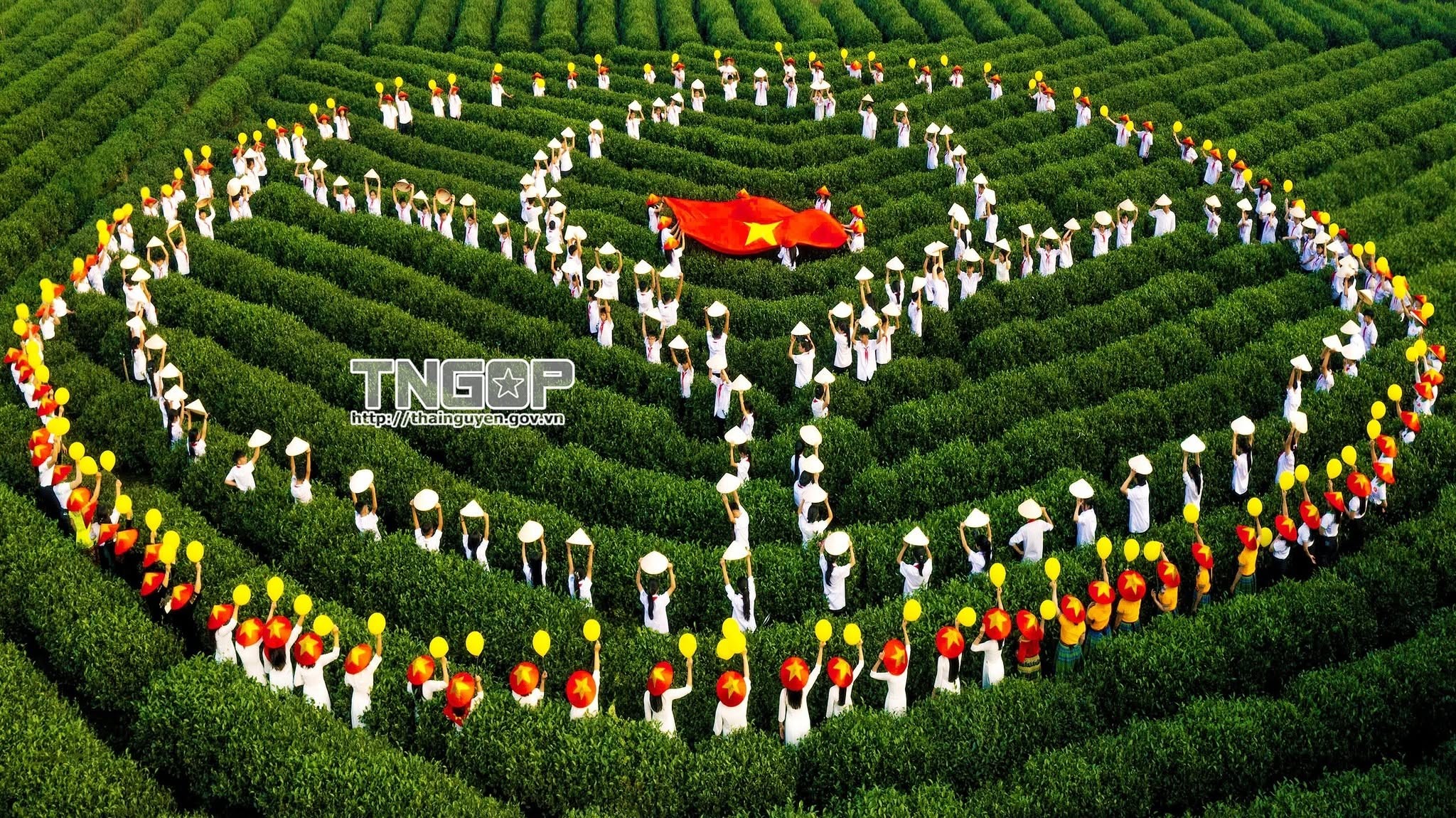 Festival Trà Quốc tế - Thái Nguyên năm 2026: Mở ra khát vọng đưa lá chè trở thành thương hiệu tỷ đô