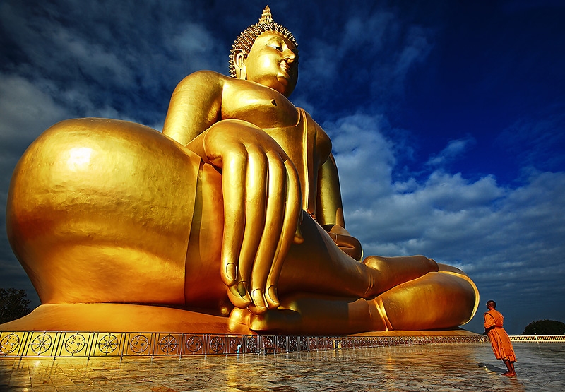 tu vu chua ba vang duc phat thuc su day chung sinh dieu gi