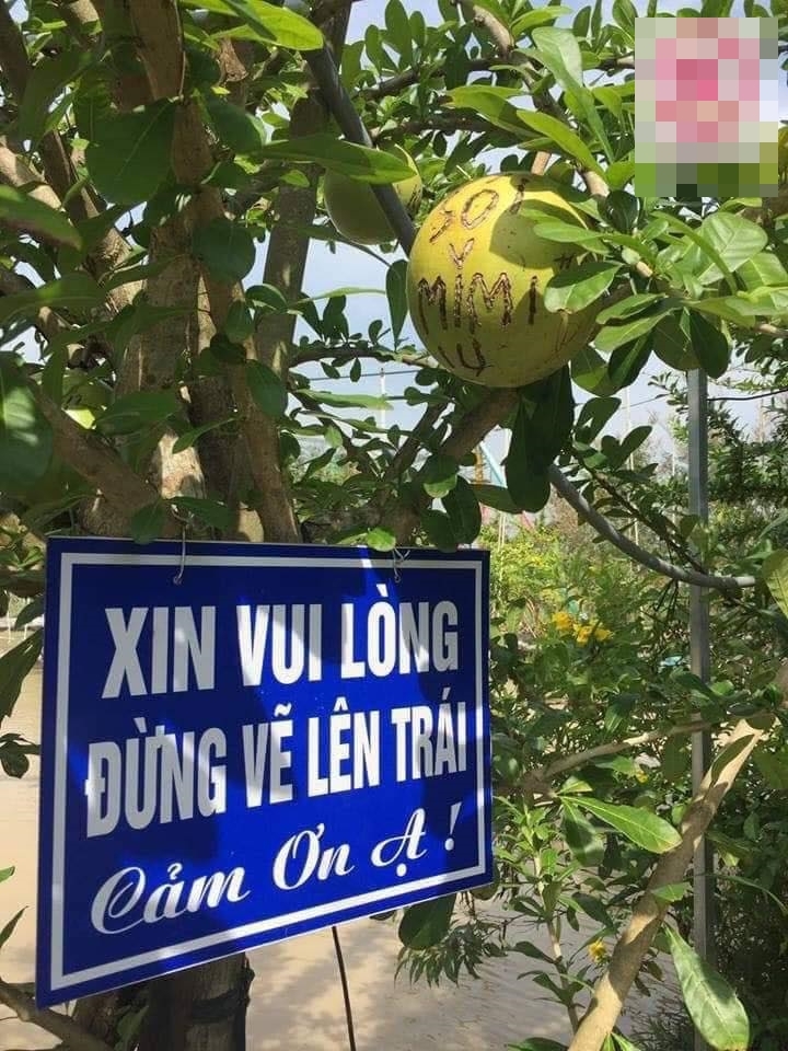 van hoa cong cong cua nguoi viet cam thi mac ke bien cam